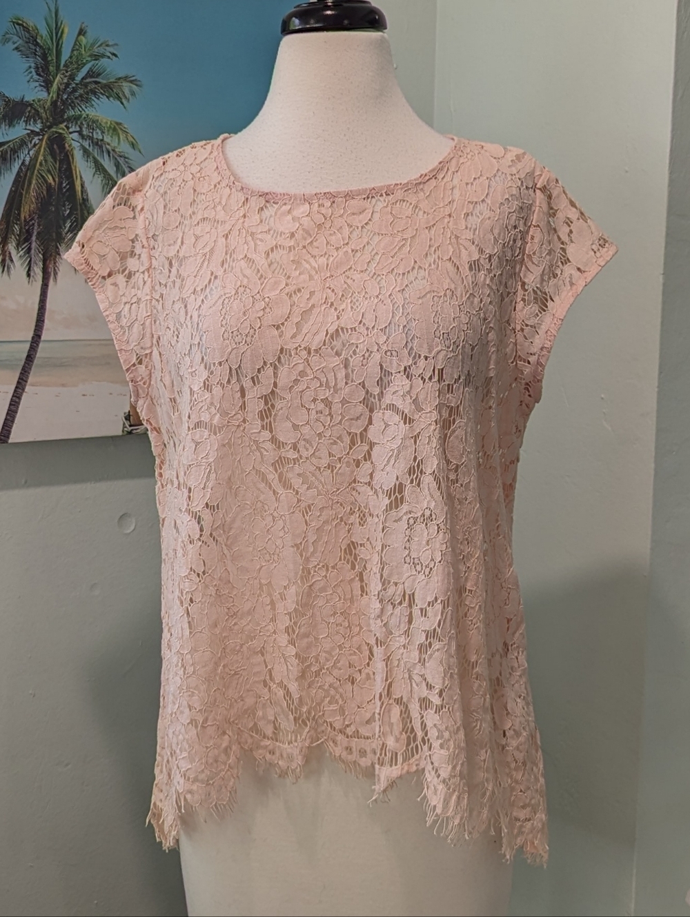 NWOT Karen Kane Blush Lace Cap-Sleeve Blouse